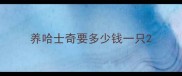 养哈士奇要多少钱一只