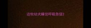 边牧幼犬睡觉呼吸急促