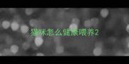 猫咪怎么健康喂养