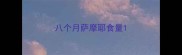 八个月萨摩耶食量