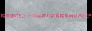 宠物狗剪尾最佳时机不同品种月龄剪尾指南及术后护理全攻略