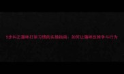 5步纠正猫咪打架习惯的实操指南如何让猫咪改掉争斗行为