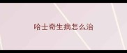 哈士奇生病怎么治