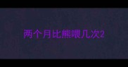 两个月比熊喂几次