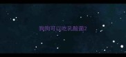 狗狗可以吃乳酸菌