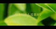 柯基打什么疫苗好