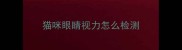 猫咪眼睛视力怎么检测