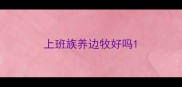 上班族养边牧好吗
