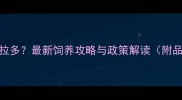 杭州能养拉布拉多最新饲养攻略与政策解读附品种适配指南