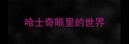 哈士奇眼里的世界