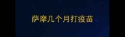 萨摩几个月打疫苗