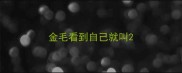 金毛看到自己就叫