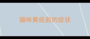猫咪黄疸前的症状