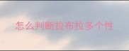 怎么判断拉布拉多个性