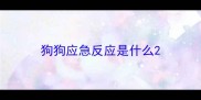 狗狗应急反应是什么