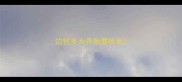 边牧多大开始要梳毛