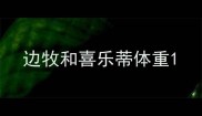 边牧和喜乐蒂体重