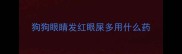 狗狗眼睛发红眼屎多用什么药