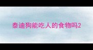 泰迪狗能吃人的食物吗