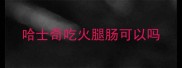哈士奇吃火腿肠可以吗