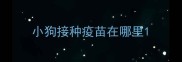 小狗接种疫苗在哪里