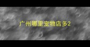 广州哪里宠物店多