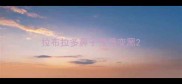 拉布拉多鼻子慢慢变黑