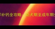 法国斗牛犬科学补钙全攻略幼犬期至成年期分阶段喂养指南