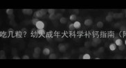 边牧补钙一天吃几粒幼犬成年犬科学补钙指南附品牌推荐