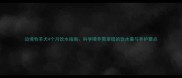 边境牧羊犬4个月饮水指南科学喂养需掌握的饮水量与养护要点