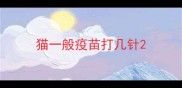 猫一般疫苗打几针