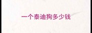 一个泰迪狗多少钱
