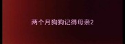 两个月狗狗记得母亲