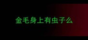 金毛身上有虫子么