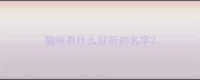 猫咪有什么好听的名字