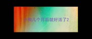 小狗几个月后就好活了