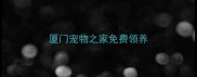 厦门宠物之家免费领养