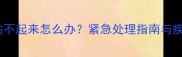 狗狗突然站不起来怎么办紧急处理指南与疾病预防全