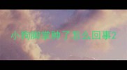 小狗脚掌肿了怎么回事