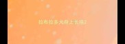 拉布拉多犬身上长疮
