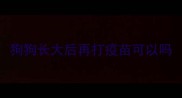狗狗长大后再打疫苗可以吗