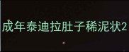 成年泰迪拉肚子稀泥状