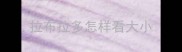 拉布拉多怎样看大小