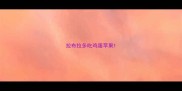 拉布拉多吃鸡蛋苹果