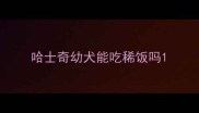 哈士奇幼犬能吃稀饭吗