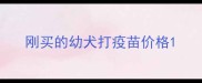 刚买的幼犬打疫苗价格