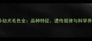 拉布拉多幼犬毛色全品种特征遗传规律与科学养护指南