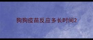 狗狗疫苗反应多长时间
