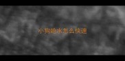 小狗呛水怎么快速