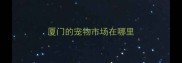 厦门的宠物市场在哪里